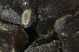 Septarian Dragon Egg Geode - Black Crystals #98864-1